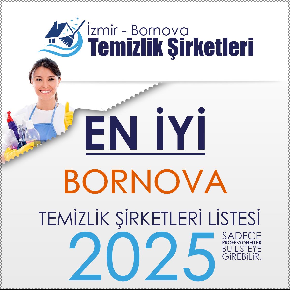 Bornova Temizlik Şirketi Önerileri