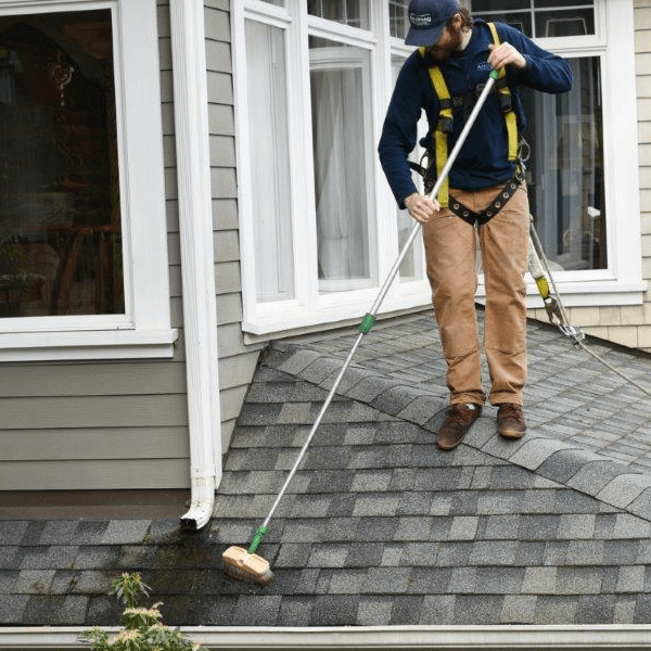 Çatılarda ve Bahçelerde Temizlik Nasıl Yapılmalı? : Kapak Görseli